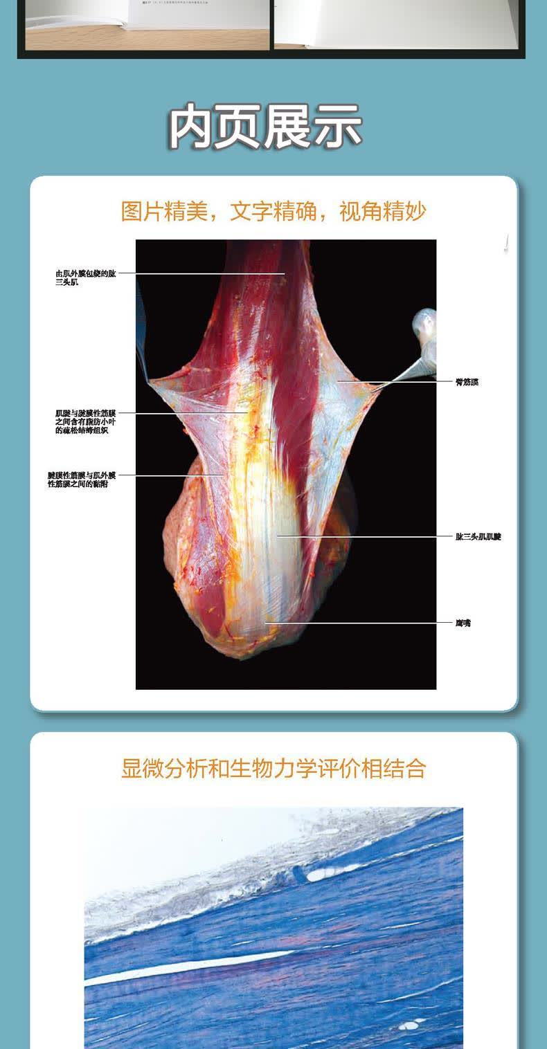 人体筋膜系统功能解剖图谱文轩网正版图书