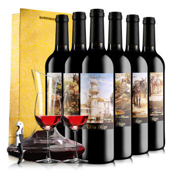 宜兰树油画系列干红葡萄酒套装750ML*6瓶  西班牙进口红酒