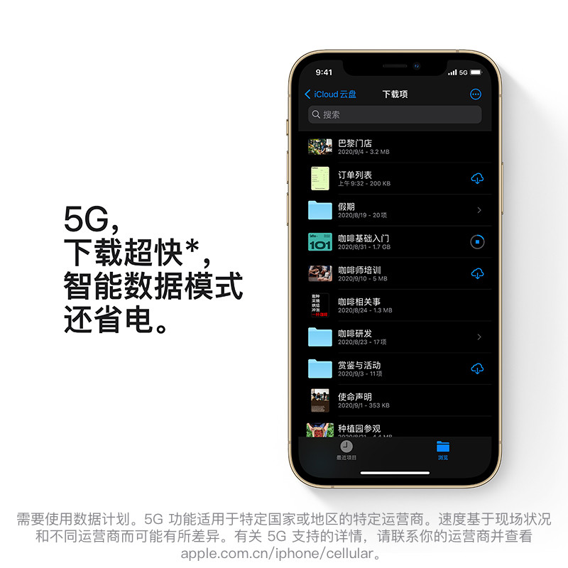 Apple iPhone 12 Pro Max 支持移动联通电信5G 双卡双待手机